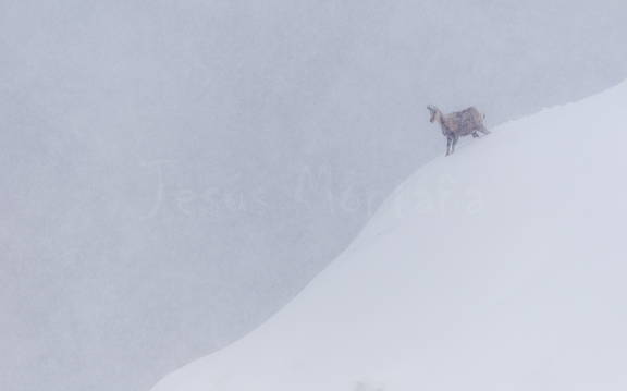 rebeco condiciones extremas
