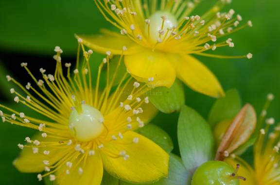 máximas posibilidades