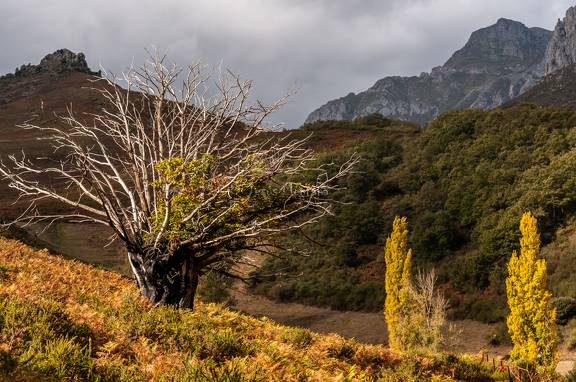 Sol y nubes en la montaña
