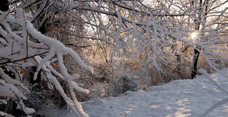 Sol y nieve a contraluz