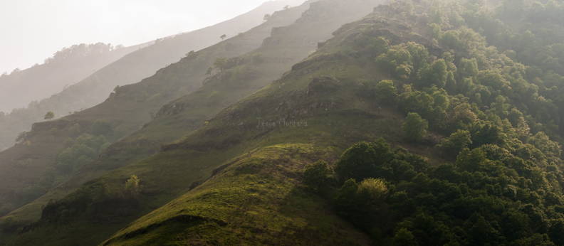 Bosque del saja-besaya, cantabria