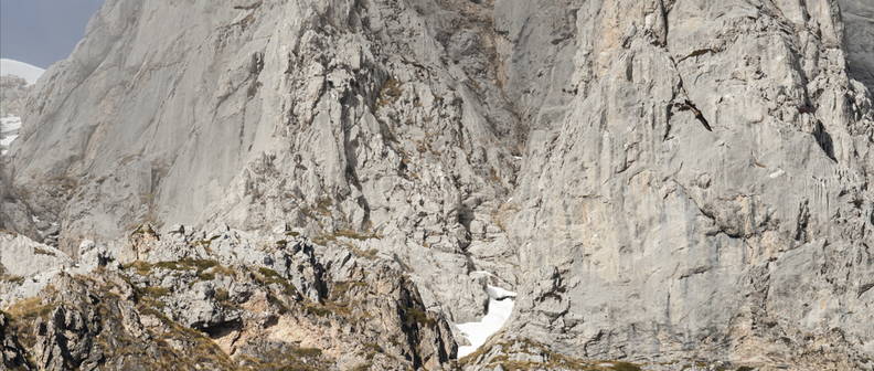 Picos de Europa y buitre
