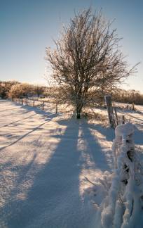 Contraluz en la nieve