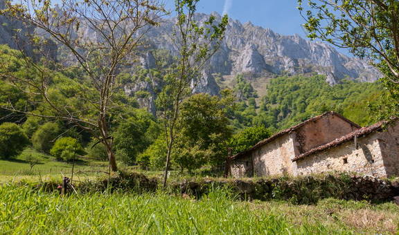 Picos de europa desde San Esteban