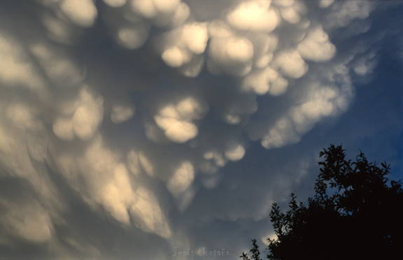 nubes mamatus