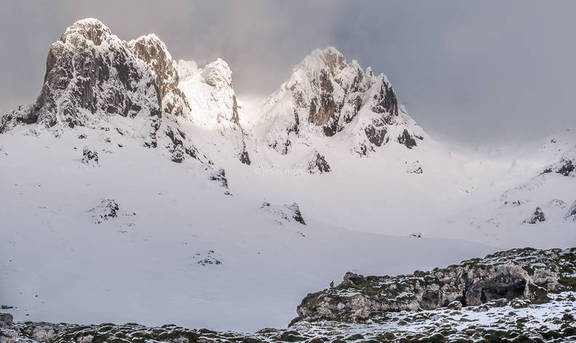 Picos de Europa y rebeco 