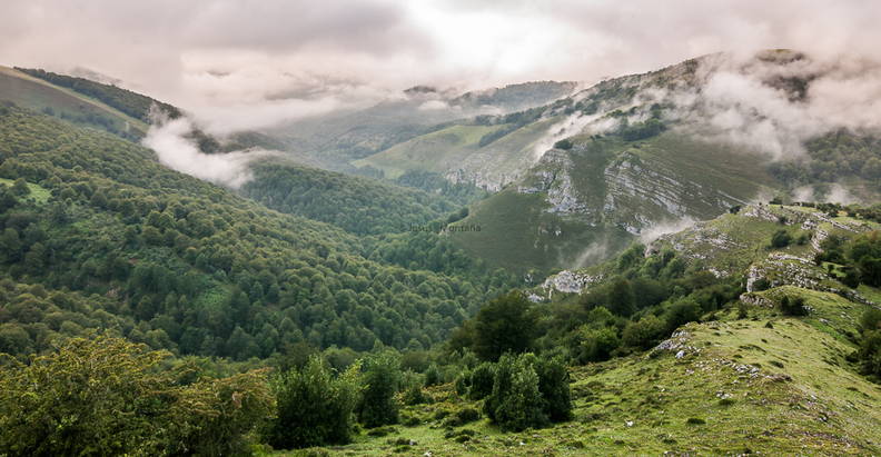 Montañas y bosques de Cantabria