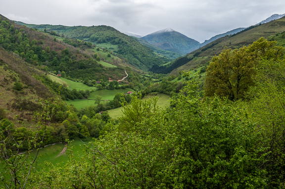 praderas y bosques de cantabria