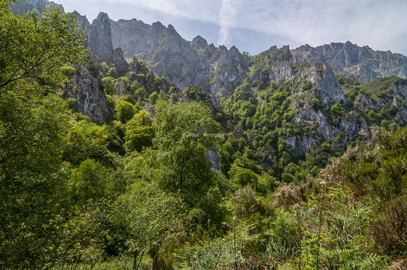 macizo de picos de europa