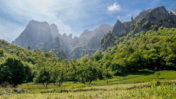 macizo agreste “Picos de Europa”