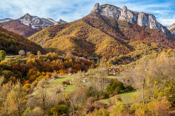 paisaje otoñal en Picos de Europa