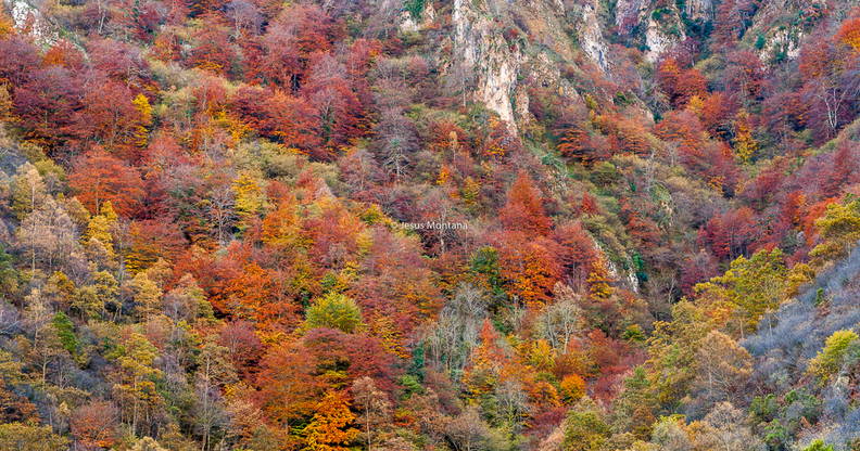 Paisage otoñal en Picos de Europa