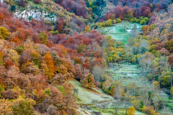 Otoño en San Esteban de Cuñaba