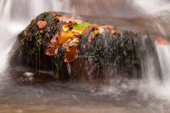 otoño en el rio saja