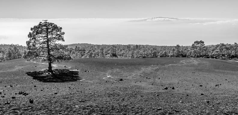 Tenerife en blanco y negro