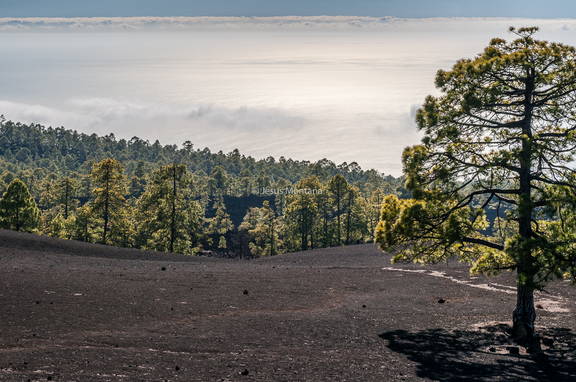 Desde el Teide, volcan,tenerife