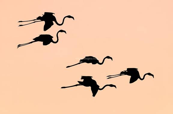 dibujando en el cielo