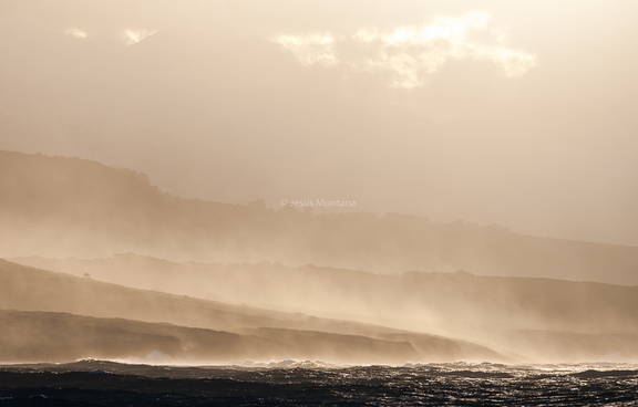 Bruma San vicente de la barquera