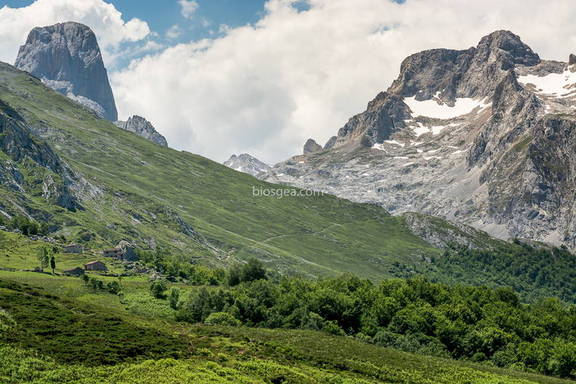 Naranjo de Bulnes y cabañas