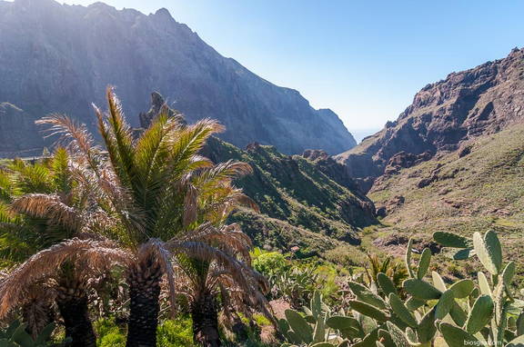 Barranco de Masca en Tenerife