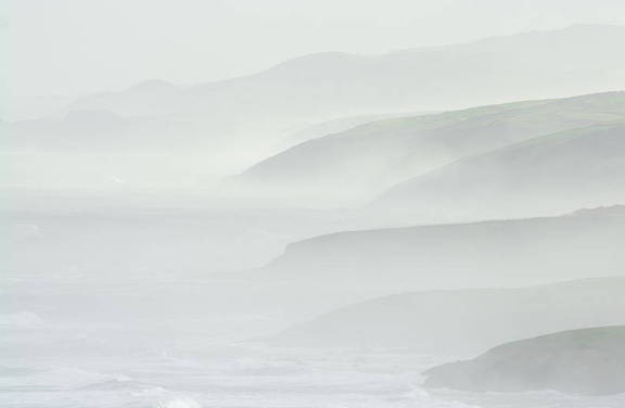 oyambre bajo la brisa marina del oleaje