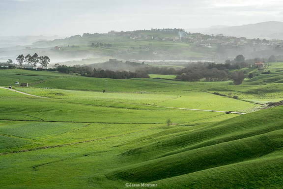 Oyambre, praderas y mar