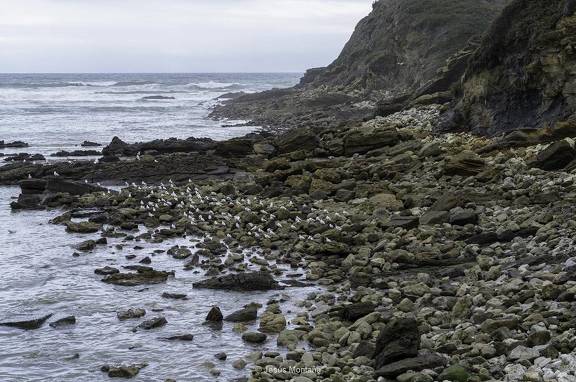 Funfria playa de rocas Ruiloba cantabria