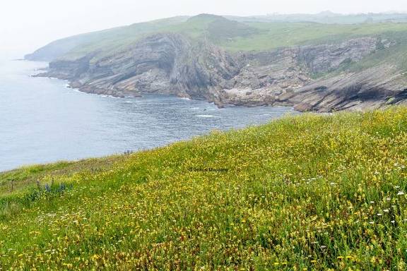 Pradera Costa de Cantabria